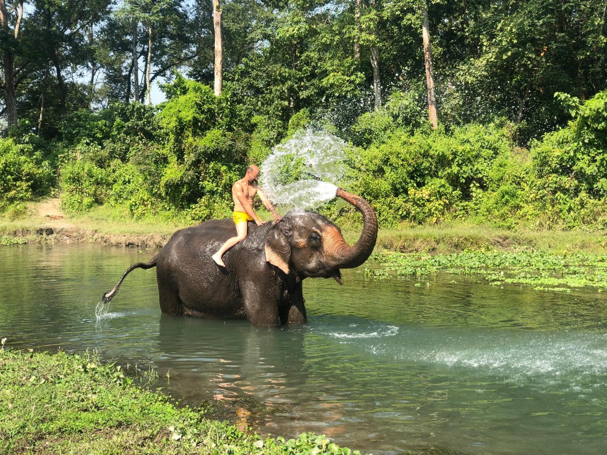 Hotel Tharu Garden And Beer Bar Читван Экстерьер фото